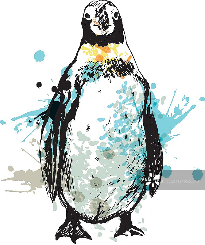 彩色手绘企鹅图片素材