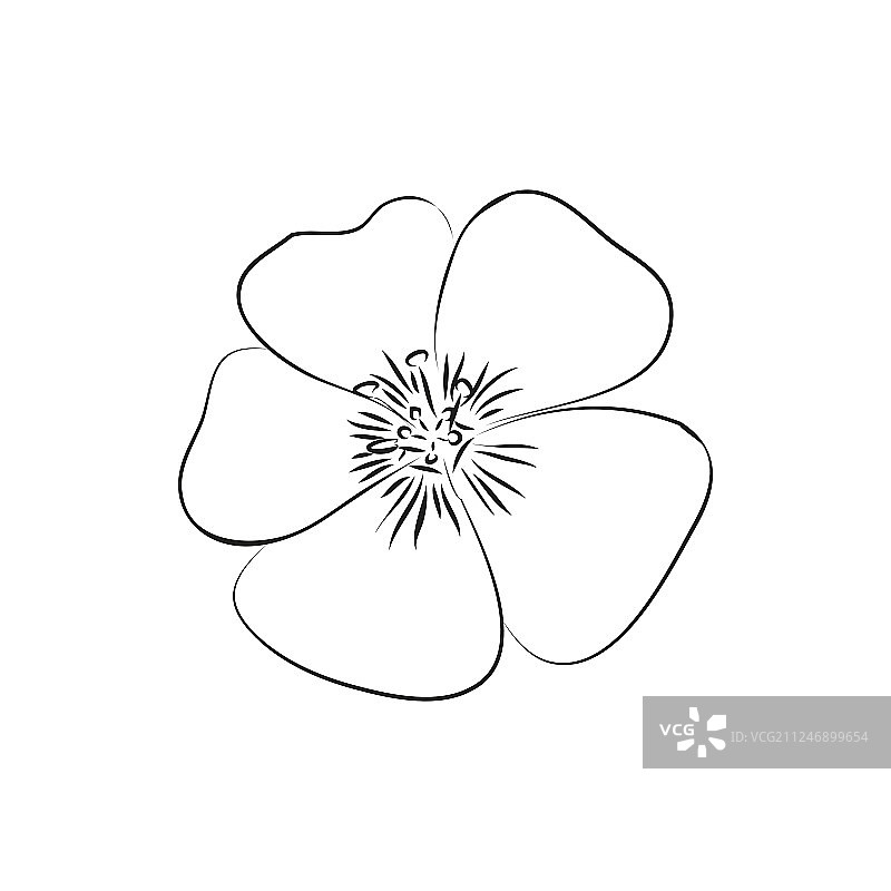 美丽的花简单的黑色内衬图标上的白色图片素材