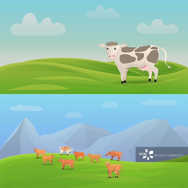 奶牛动物旗帜设置卡通风格图片素材