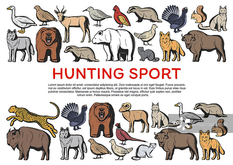 野生森林动物和鸟类狩猎运动图片素材