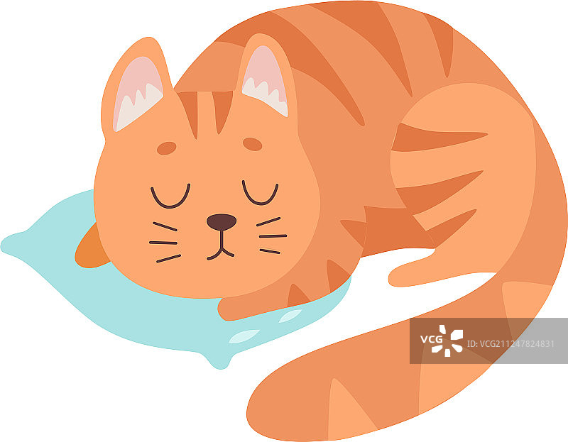 可爱的红猫动物睡在枕头上图片素材