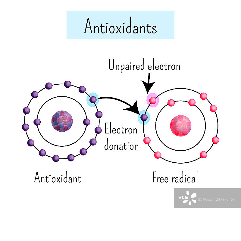 化学图表显示抗氧化剂图片素材