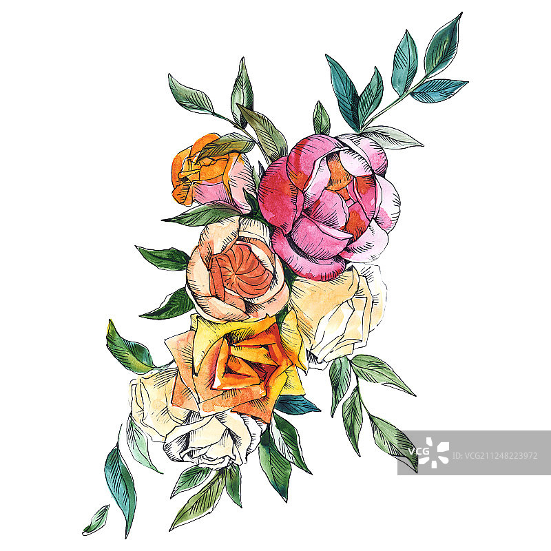 玫瑰花束，植物花。水彩背景插图集。孤立的花束插图元素。图片素材