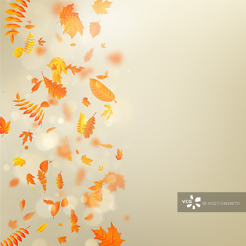秋天的模板与枫叶秋叶eps 10图片素材