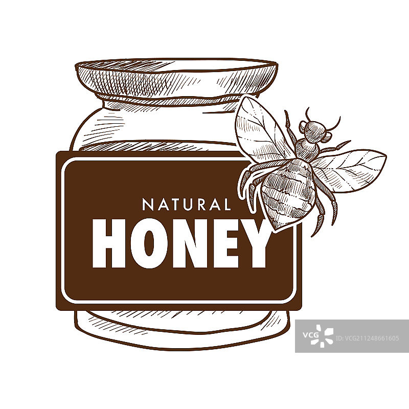 纯蜂蜜海报单色素描轮廓图片素材