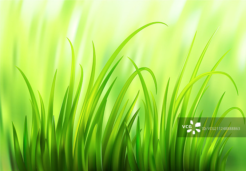 清新的春天绿草背景图片素材