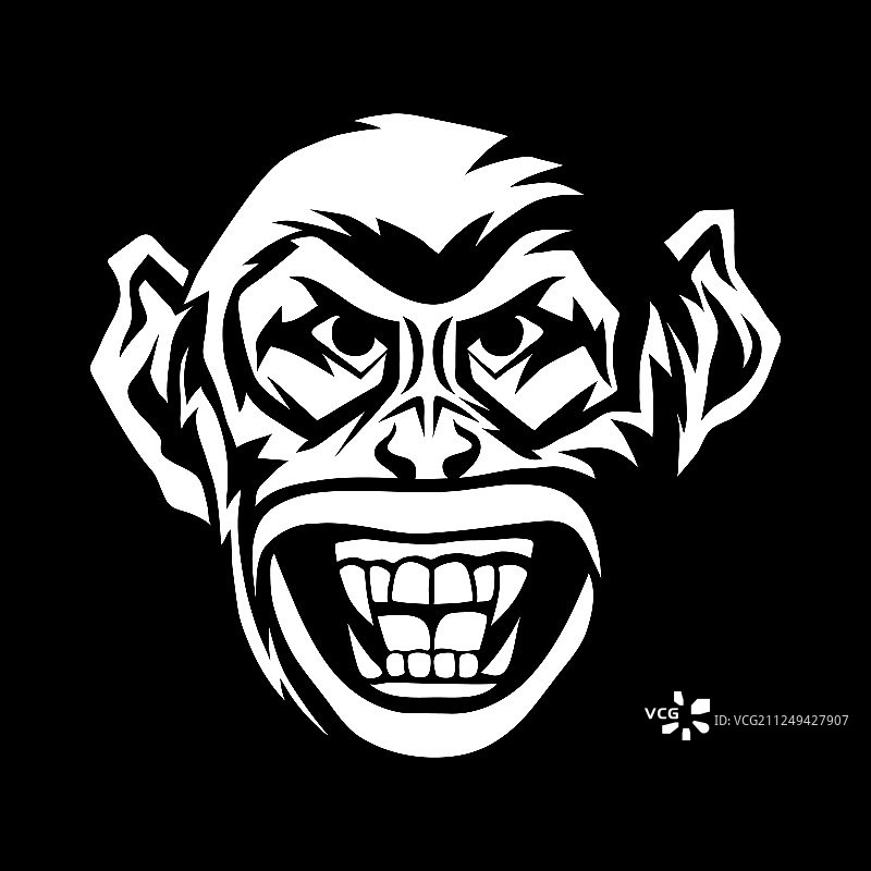 愤怒的猴子的头图片素材