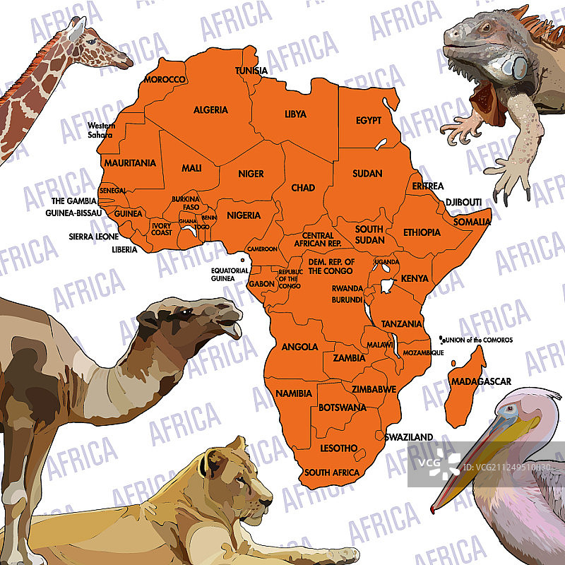 非洲大陆背景图片素材