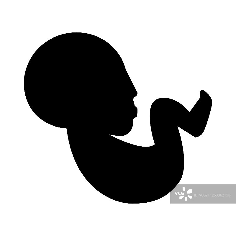 胎儿basolid图标图片素材