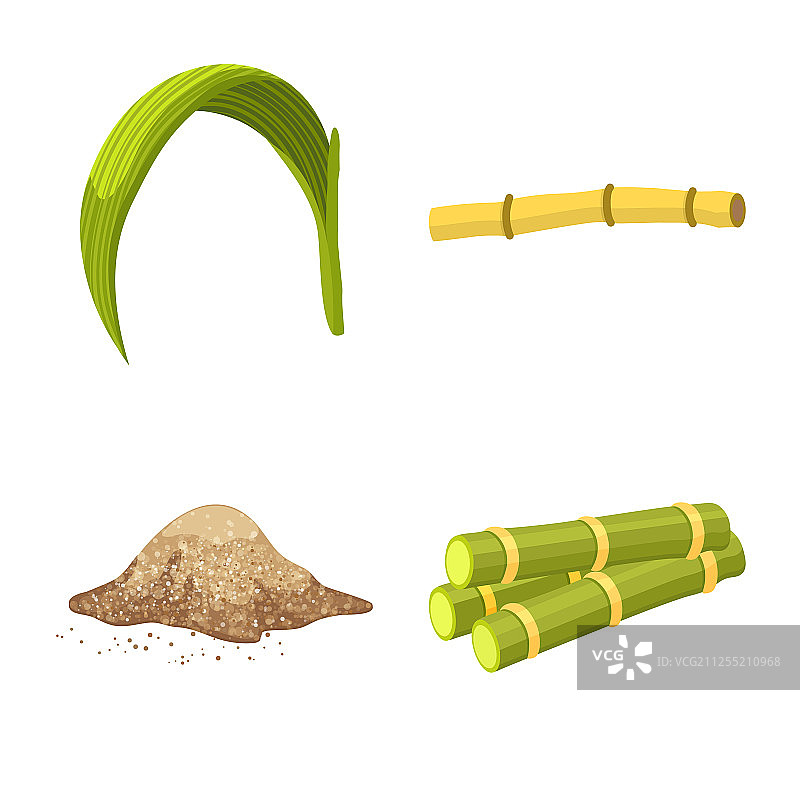 设计甘蔗和植物标志套的图片素材