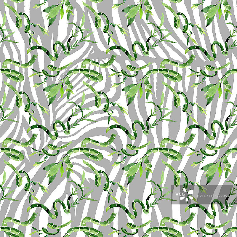 绿色Draceana Sanderiana。水彩背景插图集。无缝的背景图案。图片素材