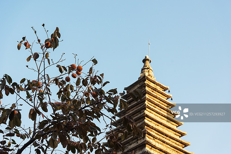 北京秋天的五塔寺图片素材
