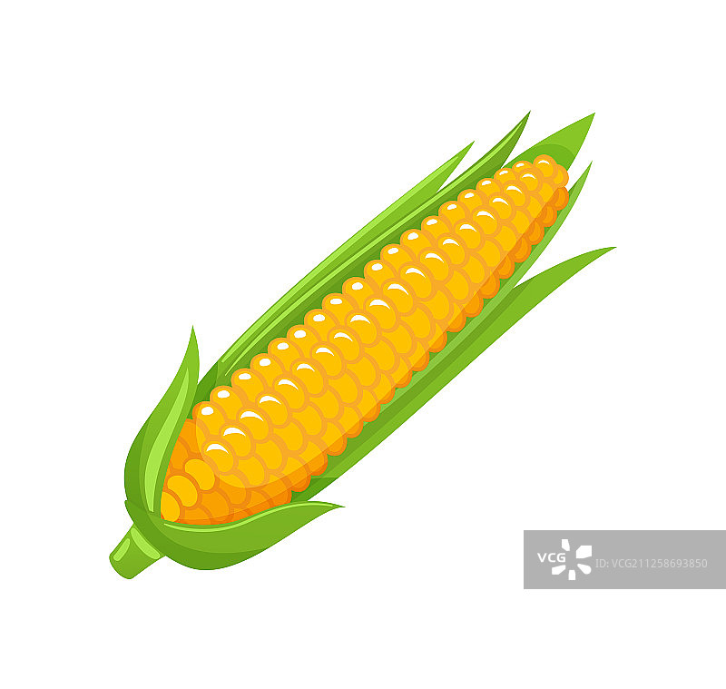 玉米食品有机农业餐的标志图片素材