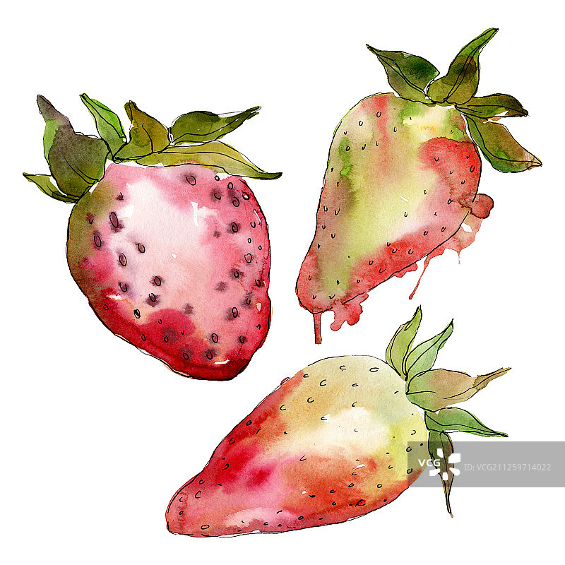 草莓健康食品新鲜浆果。水彩背景插图集。孤立的浆果插图元素。图片素材