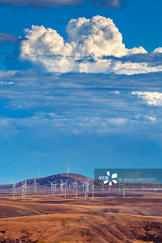 内蒙古风力发电站风光图片素材