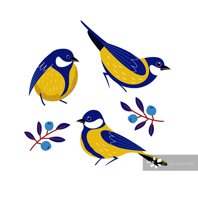 可爱的明信片上有鸟、蓝莓、花、浆果和树叶。矢量图. .可爱的小鸟，浆果，花朵和树枝。矢量插图。图片素材