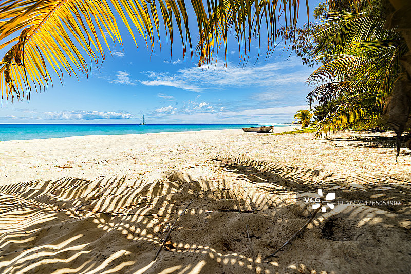 大海蓝天椰树热带树棕榈树叶沙滩小船度假图片素材