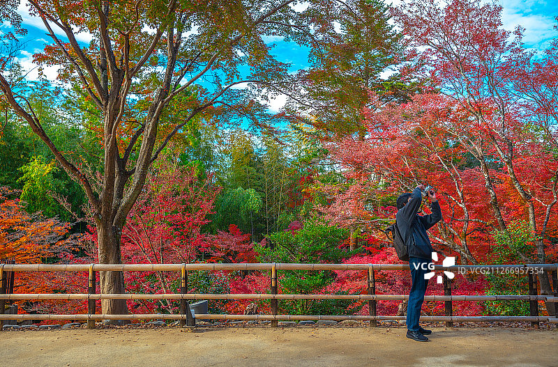 日本京都秋天枫叶季节北野天满宫图片素材