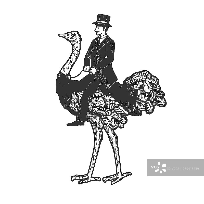 绅士骑着一只鸵鸟素描图片素材