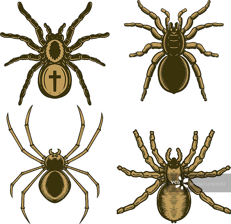设置蜘蛛在雕刻风格的万圣节主题图片素材