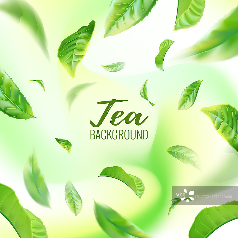 逼真的绿茶叶为背景图片素材