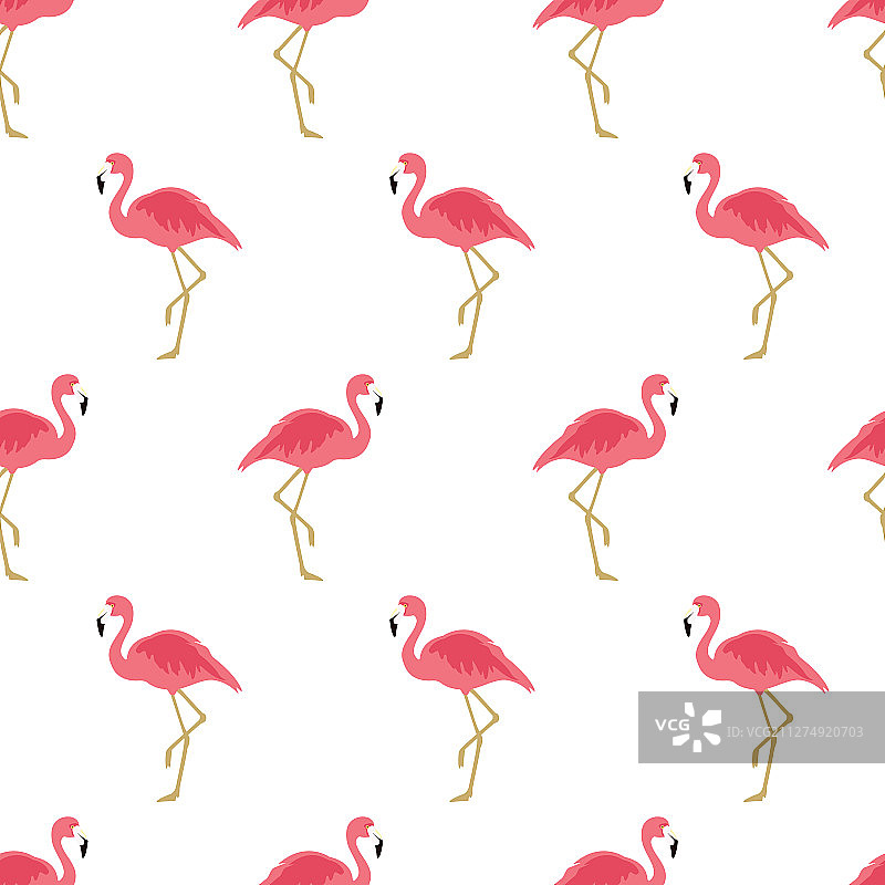 无缝图案的火烈鸟有奇特的粉红色图片素材