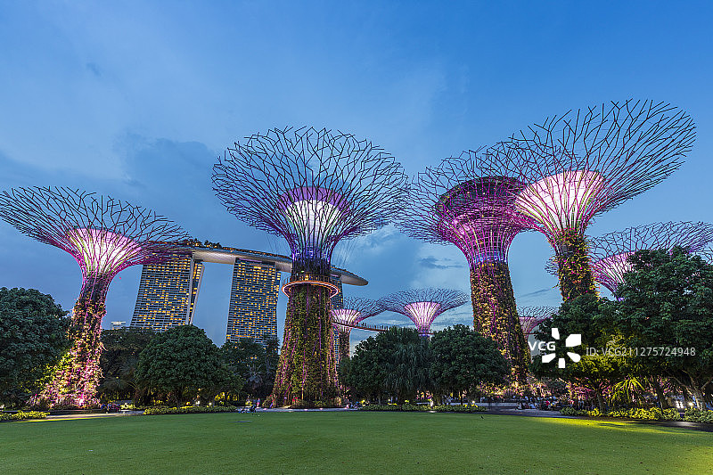 落日后的新加坡超级树公园和金沙酒店灯光秀图片素材