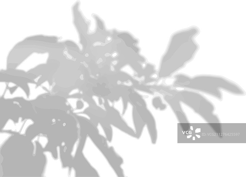 白色墙壁上的外来植物遮荫图片素材