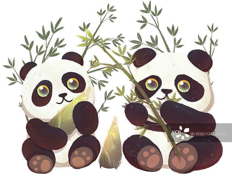 熊猫和他爱的竹子笋图片素材