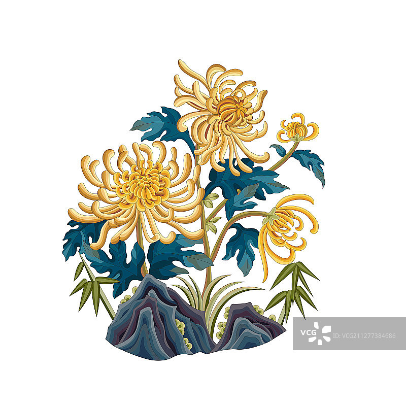 彩色菊花传统植物图案图片素材
