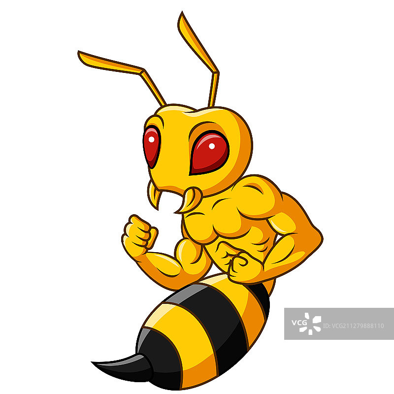 卡通肌肉大黄蜂吉祥物孤立在白色b图片素材
