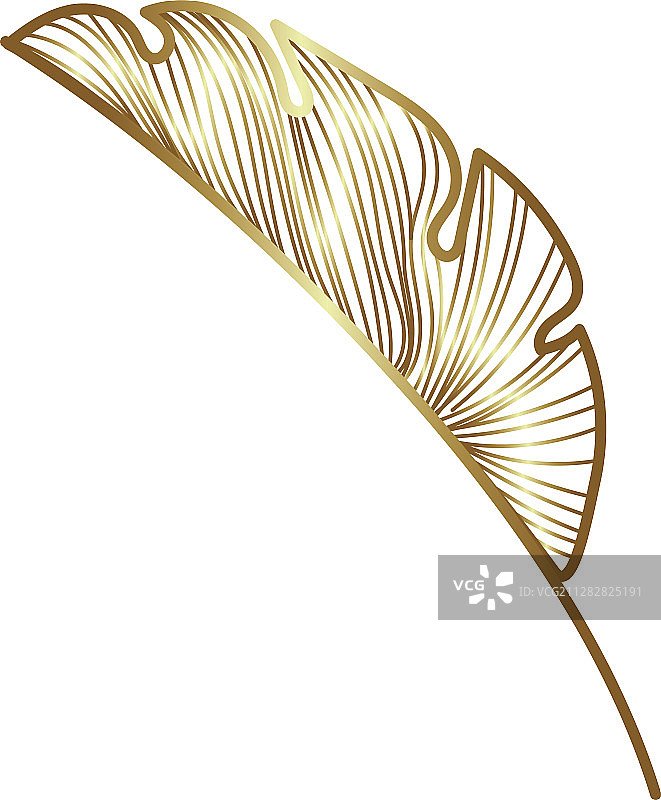 热带棕榈叶自然金色装饰图片素材