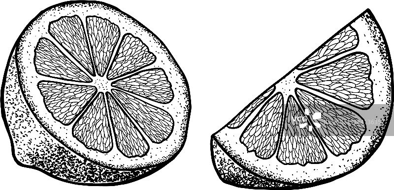 手绘酸橙或柠檬片设置水果图片素材