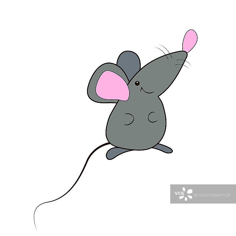 有趣的灰色老鼠粉红的鼻子孤立在一个图片素材