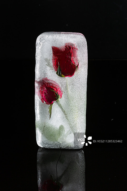 冰封花卉创意摄影图片素材