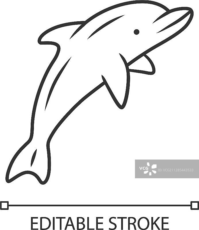 海豚线性图标海底世界高图片素材