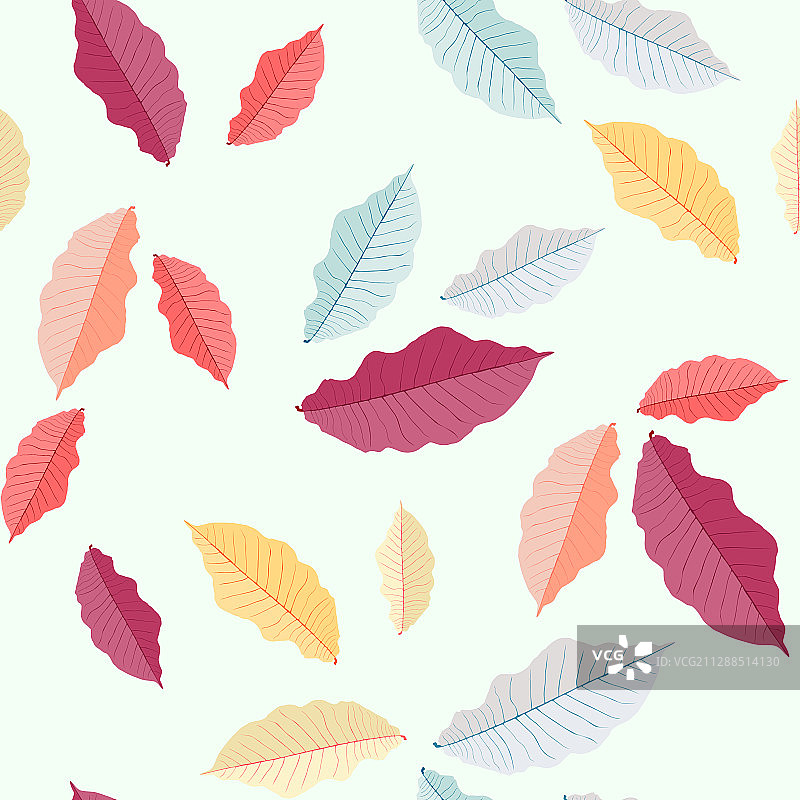 秋天的树叶图案五彩缤纷图片素材