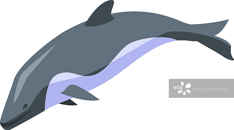 海豚游泳图标等距风格图片素材