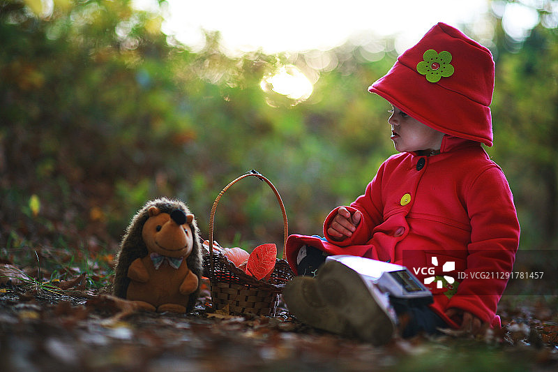可爱的小女孩打扮成小红帽，和她的刺猬玩具坐在森林小径上图片素材