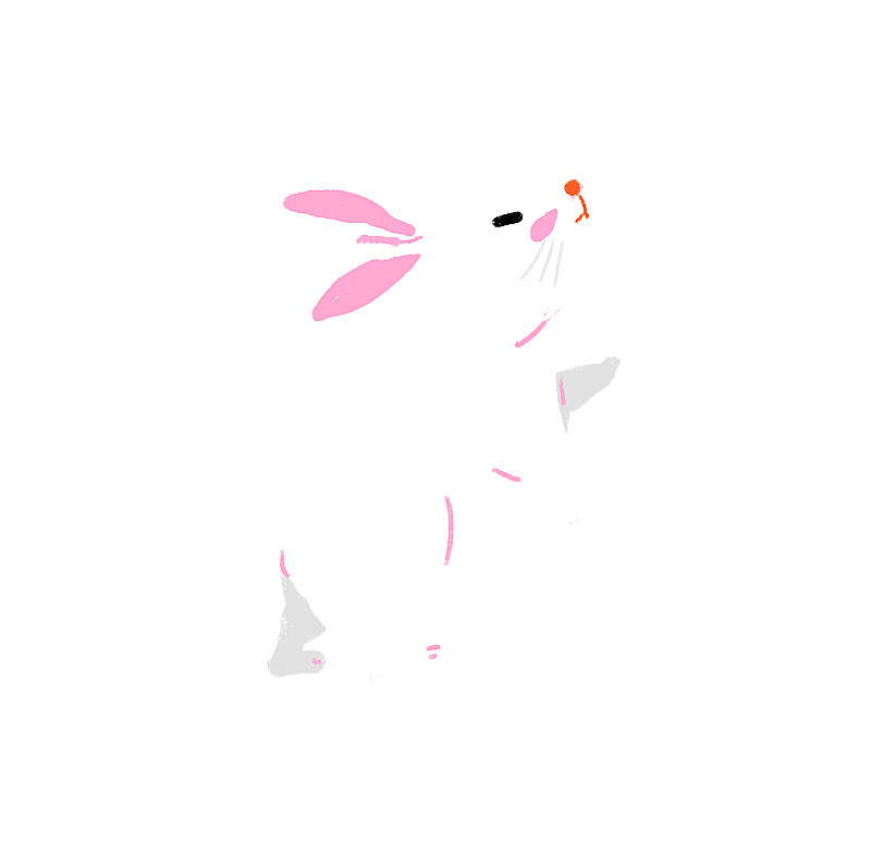 一只白色的兔子图片素材