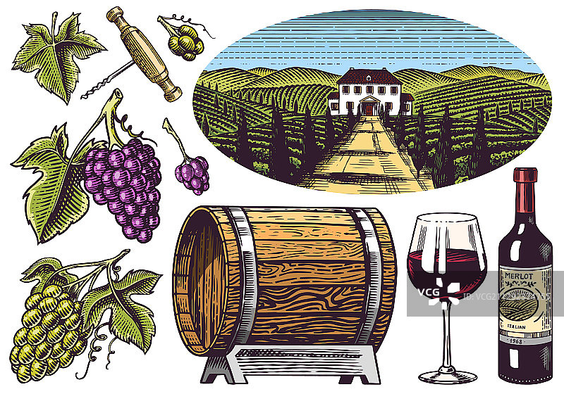 葡萄园和葡萄酒，葡萄和木桶图片素材