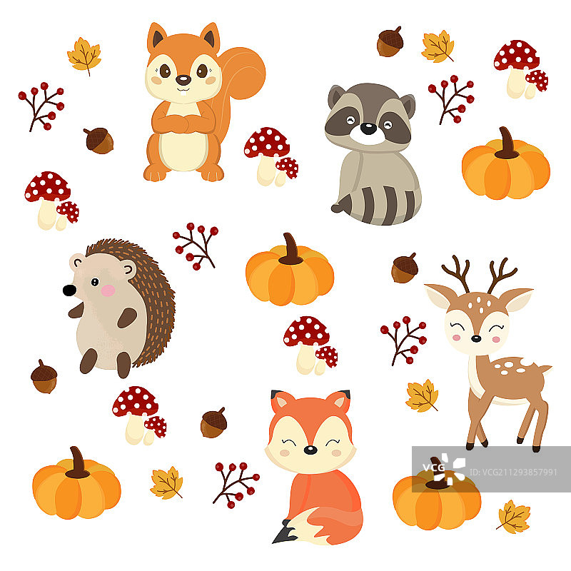 秋天里可爱的林地动物图片素材