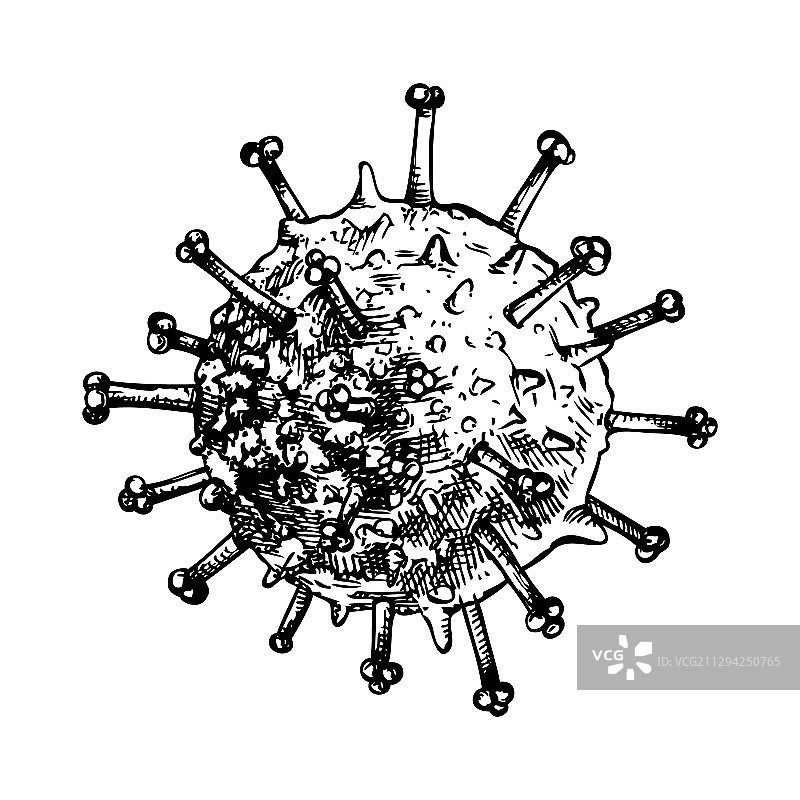 手绘病毒生物生物体素描图片素材