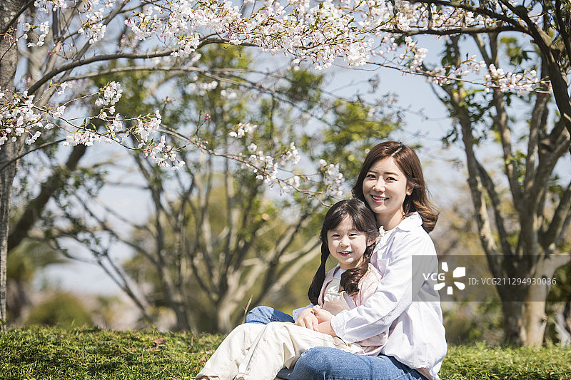 女儿坐在母亲的膝上，坐在樱花树旁的草地上图片素材