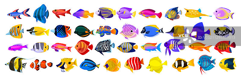 热带鱼卡通图标孤立图片素材
