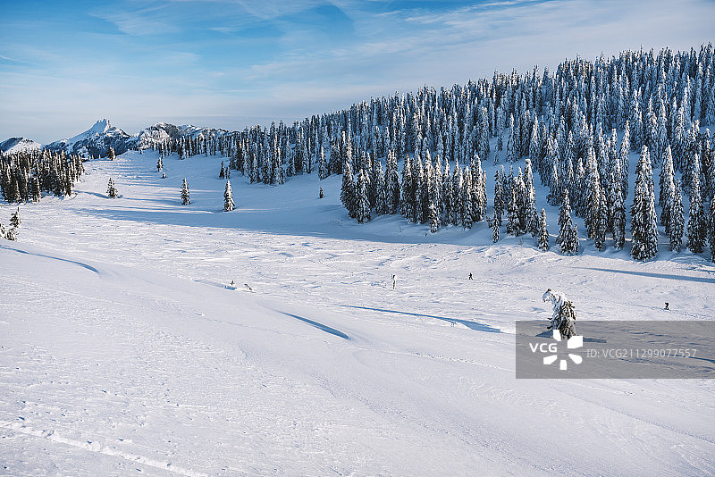 白雪覆盖的土地对天空的风景，弗拉斯多夫，德国图片素材