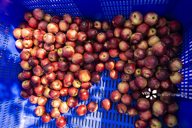 意大利圣斯特凡诺-卡莱市场上出售的水果的高角度视图图片素材