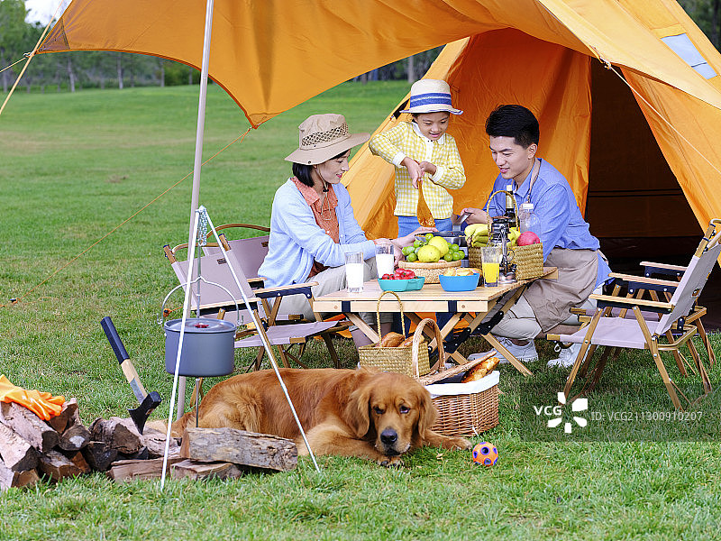 快乐的三口之家和宠物狗在户外做饭图片素材