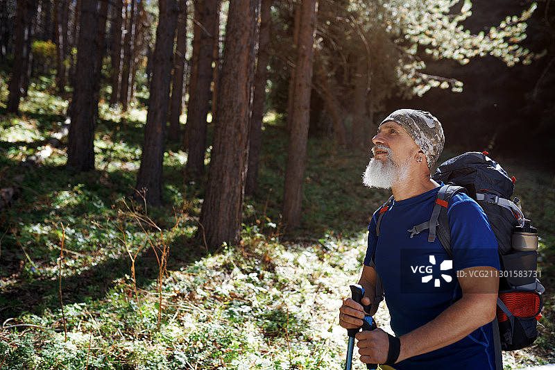 积极的老年人与拐杖和背包探索山松林图片素材