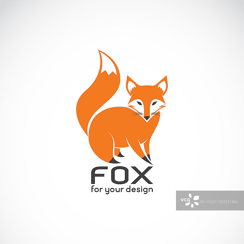 狐狸图案上有白底野生动物狐狸图片素材